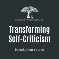 Transforming Self-Criticism (intro course)